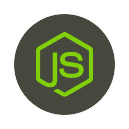  Node Js 